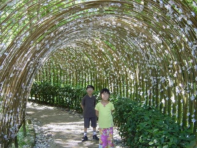2004.05.03-Westlake-034.jpg