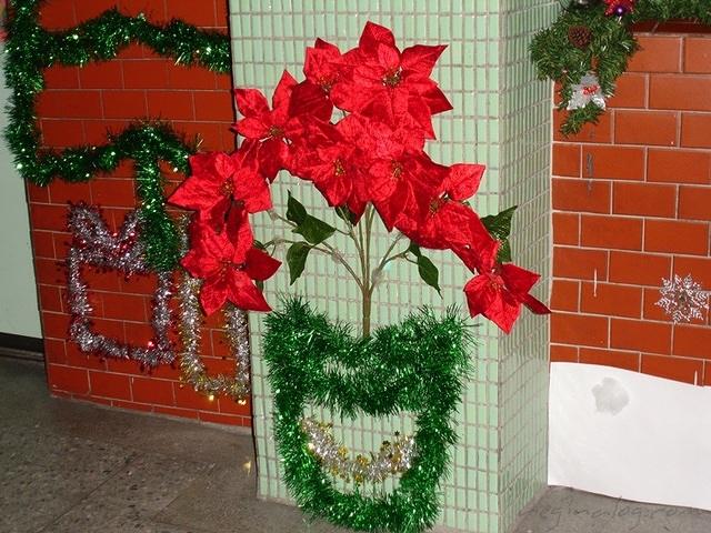 2005.12.07-003.JPG