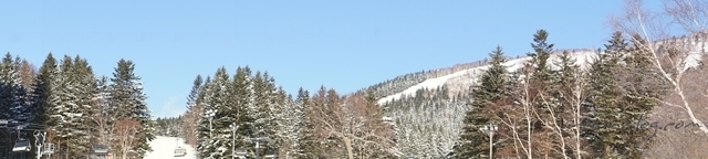 2015.12.23-021