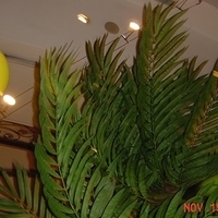 2001.11.15-Alex 5th Bday-038.JPG