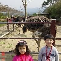 Golden Egg Resort Farm