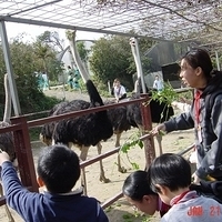 2003.01.21-005.JPG