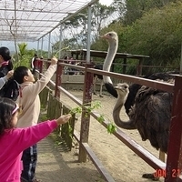 2003.01.21-006.JPG