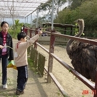 2003.01.21-007.JPG