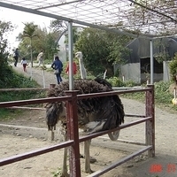 2003.01.21-008.JPG