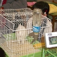 2004.10.21-animal day-023.JPG