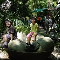 2004.05.03-Westlake-024.jpg