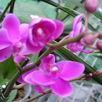 2005.03.01-064.JPG