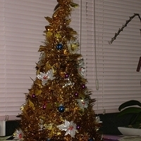 2005.12.07-001.JPG
