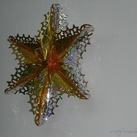 2005.12.07-005.JPG