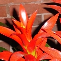 2005.02.24-003.jpg