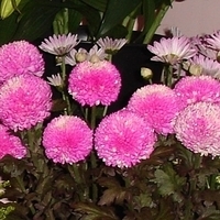 2005.02.24-004.jpg