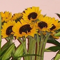 2005.02.24-006.jpg