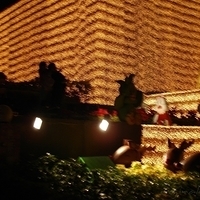 2005.01.24-032.JPG
