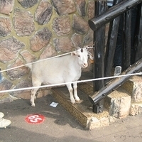 2005.10.25-113.JPG