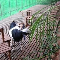 2005.04.12-014.jpg
