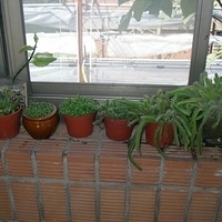2006.04.11-047.JPG