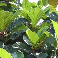 2006.04.11-048.JPG
