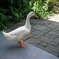 2006.04.11-066.JPG