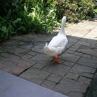 2006.04.11-068.JPG