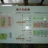 2006.03.31-005.JPG