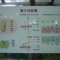 2006.03.31-006.JPG