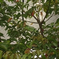2006.03.31-008.JPG