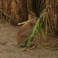 2006.03.31-013.JPG