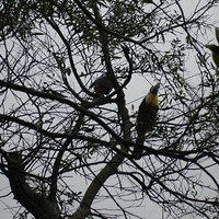 2006.03.31-016.JPG