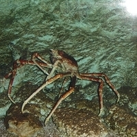 2006.02-Guam-042.JPG