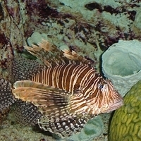 2006.02-Guam-045.JPG