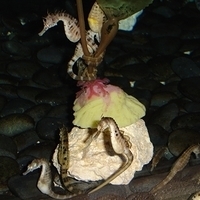 2006.02-Guam-046.JPG
