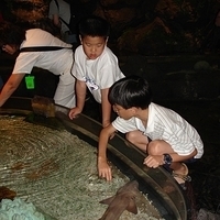 2006.02-Guam-047.JPG