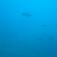 2006.02-Guam-074.JPG