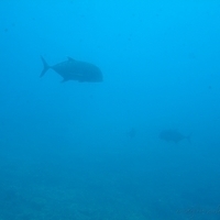 2006.02-Guam-075.JPG