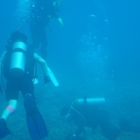 2006.02-Guam-077.JPG