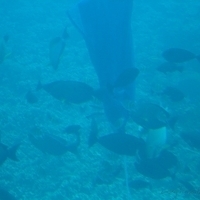 2006.02-Guam-078.JPG