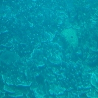 2006.02-Guam-079.JPG