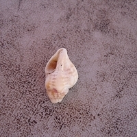 2006.11.26-012.JPG