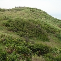 2006.11.26-033.JPG