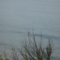 2006.11.26-049.JPG