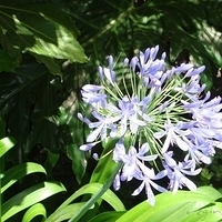 2007.06.24-life-002.JPG