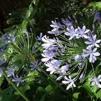 2007.06.24-life-003.JPG