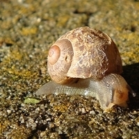 2007.06.27-006.JPG