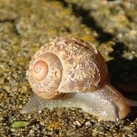 2007.06.27-007.JPG