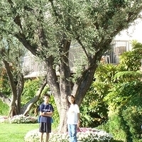 2007.06.28-002.JPG