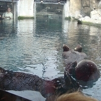 2007.07.04-Monterey Bay-005.JPG