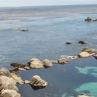 2007.07.04-Monterey Bay-044.JPG