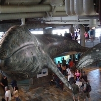 2007.07.04-Monterey Bay-053.JPG