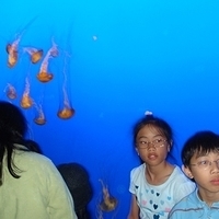 2007.07.04-Monterey Bay-059.JPG